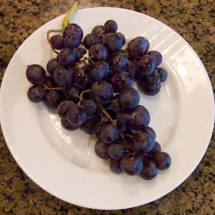 Concord Seedless Grape - Image 3