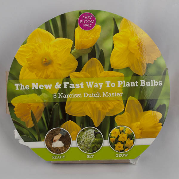 Dutch Master Daffodil Easy Bloom Pad