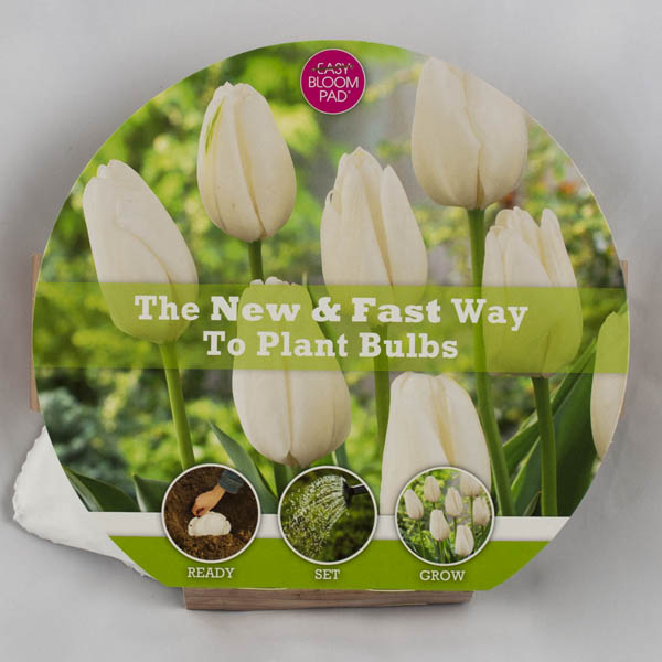 Hakuun Tulip Easy Bloom Pad