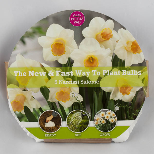 Salome Daffodil Easy Bloom Pad