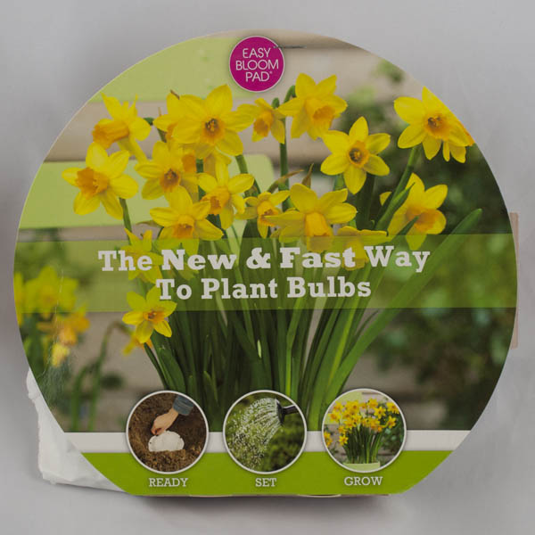 Tete-a-Tete Daffodil Easy Bloom Pad